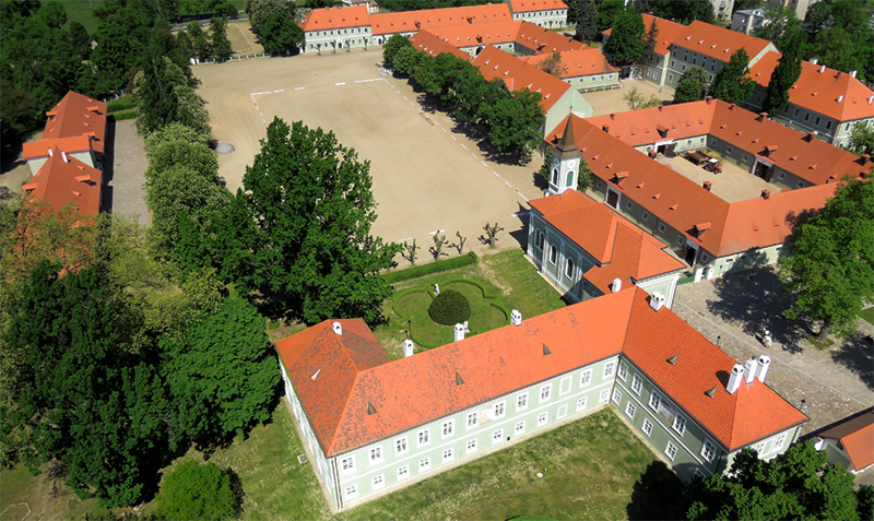 ltecky_hrebcin_kladruby