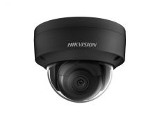 More information about product (Archiv) DS-2CD2123G2-I(4mm)(D)(BLACK)