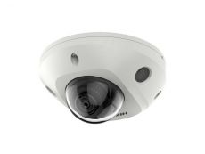 More information about product (Archiv) DS-2CD2543G2-IWS(2mm)