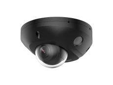 V�ce informac� o v�robku DS-2CD2543G2-LIS2U(2.8mm)/BLACK