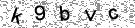 Opi�te k�d z obr�zku